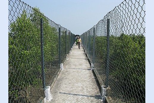 Viaggio in India 2008 - Sunderbans